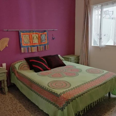 Lo Flamenc 2 @Amposta Apartment Екстериор снимка